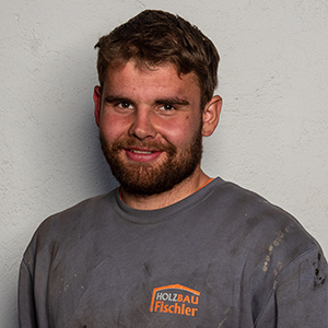 Matthias Hölzl